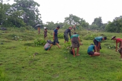 Tree Planting - MCCWG