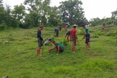 Tree Planting - MCCWG