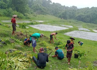 “Trees allow us to live,” says Myanmar CCWG and partners