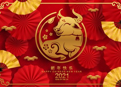 Gong Xi Fa Cai!