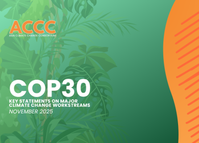 KEY STATEMENTS FOR MAJOR CLIMATE WORKSTREAMS FOR COP30